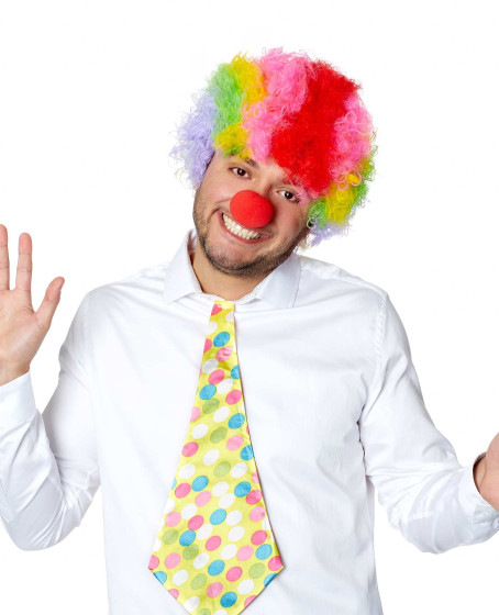 Rengarenk Kıvırcık Afro Bonus Peruk ve Kırmızı Burun Seti Rengarenk Kıvırcık Afro Bonus Peruk ve Kırmızı Burun Seti