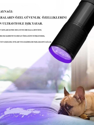 Ultraviole Para Kontrol Işığı Wt-302