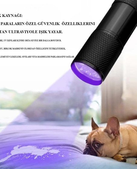 Ultraviole Para Kontrol Işığı Wt-302 Ultraviole Para Kontrol Işığı Wt-302