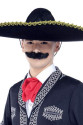 Sombrero Meksika Şapkası Mariachi Altın Şeritli Yetişkin Boy Sombrero Meksika Şapkası Mariachi Altın Şeritli Yetişkin Boy