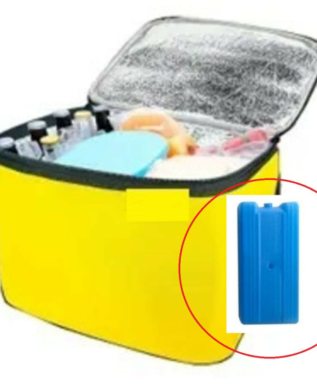 Termos Çanta - Piknik Çantası Buz Aküsü Hediyeli 40LT