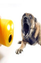 Ultrasonik Köpek ve Kedi Uzaklaştırıcı Ultrasonik Köpek ve Kedi Uzaklaştırıcı