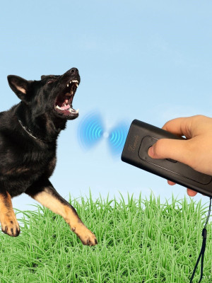 Ultrasonik Zarar Vermeyen Köpek Uzaklaştırıcı ve Eğitici Cihaz