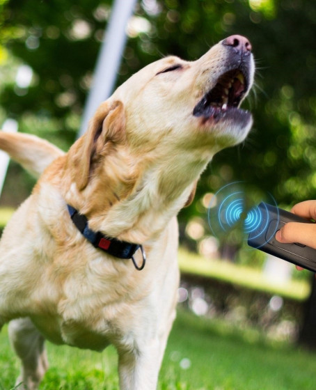 Ultrasonik Zarar Vermeyen Köpek Uzaklaştırıcı ve Eğitici Cihaz Ultrasonik Zarar Vermeyen Köpek Uzaklaştırıcı ve Eğitici Cihaz