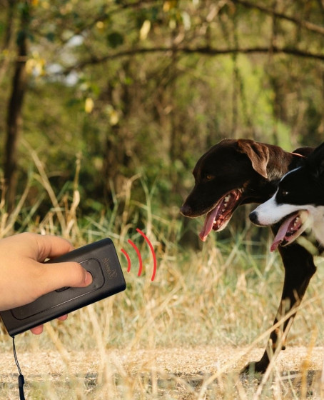 Ultrasonik Zarar Vermeyen Köpek Uzaklaştırıcı ve Eğitici Cihaz Ultrasonik Zarar Vermeyen Köpek Uzaklaştırıcı ve Eğitici Cihaz