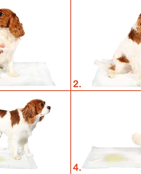 Yıkanabilir Köpek Çiş Pedi - 90 X 60 Cm