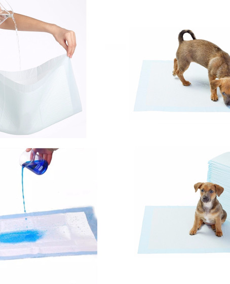 Yıkanabilir Köpek Çiş Pedi - 100 X 100 Cm