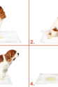 Yıkanabilir Köpek Çiş Pedi - 100 X 100 Cm 5li Paket Yıkanabilir Köpek Çiş Pedi - 100 X 100 Cm 5li Paket