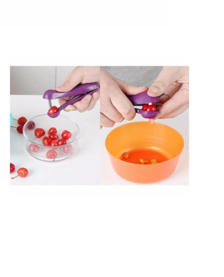 Zeytin Çekirdeği Çıkartma Aparatı