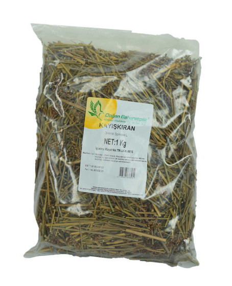 Kayışkıran Otu Doğal 1000 Gr Paket