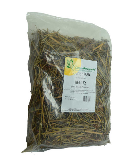 Kayışkıran Otu Doğal 1000 Gr Paket