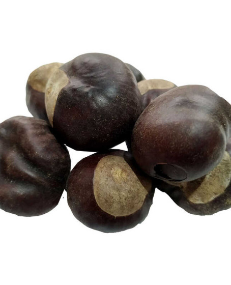 At Kestanesi Meyvesi Doğal 100 Gr Paket