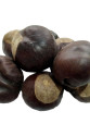 At Kestanesi Meyvesi Doğal 100 Gr Paket