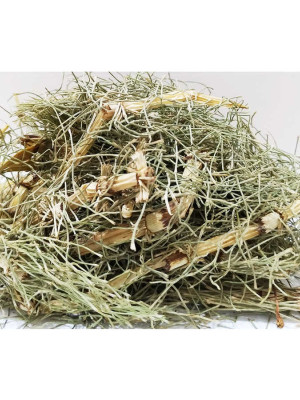 Kırkkilit - At Kuyruğu Otu 100 Gr Paket
