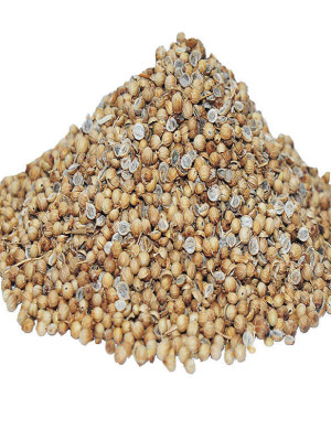 Kişniş Doğal Tane 1000 Gr Paket