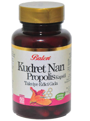 Kudret Narı Propolis 60
