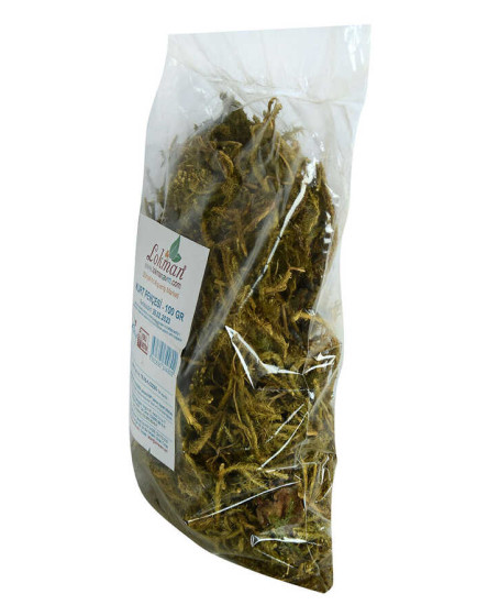 Kurt Pençesi Otu Doğal 100 Gr Paket