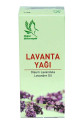 Lavanta Yağı 20 cc