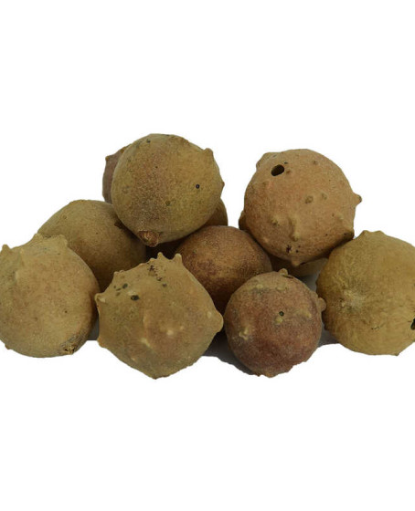 Mazı Meyve Kozalağı Doğal 100 Gr Paket