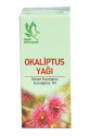 Okaliptus Yağı 20 cc
