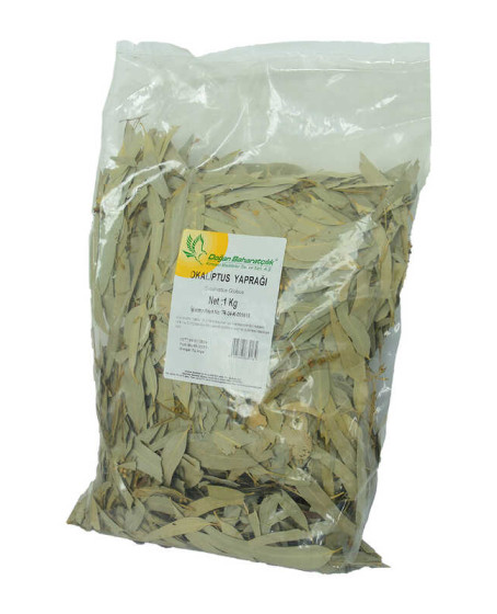 Okaliptus Yaprağı Doğal 1000 Gr Paket