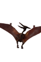 Pterosaur Dinazor 15 Cm - Q603-9 - 1 ADET Pterosaur Dinazor 15 Cm - Q603-9 - 1 ADET