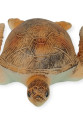 Deniz Hayvanları Serisi - Caretta Caretta 22 cm - 1 ADET