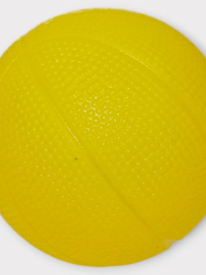 Köpek Oyuncağı - Plastik Düdüklü Top - Sarı - 1 ADET