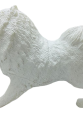 Köpekler - Samoyed Cinsi Köpek - 1 ADET Köpekler - Samoyed Cinsi Köpek - 1 ADET