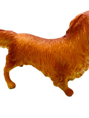 Köpekler - Collie Cinsi Köpek - 1 ADET Köpekler - Collie Cinsi Köpek - 1 ADET