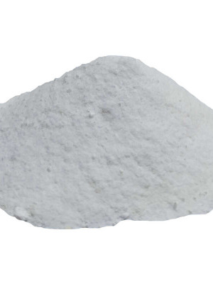 Salça Domates Turşu Koruyucu Toz Salisilik Asit 100 Gr Paket