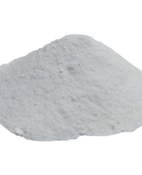Salça Domates Turşu Koruyucu Toz Salisilik Asit 100 Gr Paket