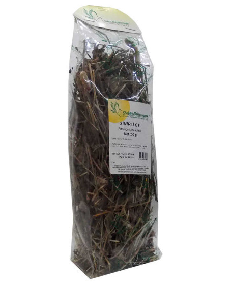 Sinirli Yaprak Otu Sinirli Ot Doğal 50 Gr Paket Sinirli Yaprak Otu Sinirli Ot Doğal 50 Gr Paket
