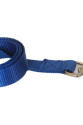 Köpek Gezdirme Kayışı 1,5 cm x 115 cm Mavi