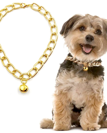 Kedi Ve Köpek Lüx Zincir Kolye 25-30 cm Medium Gold