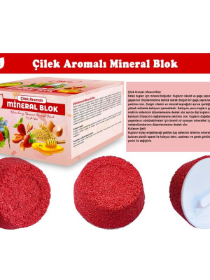 BİOLİVE Çilek Aromalı Mineral Blok