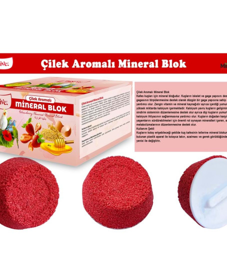 BİOLİVE Çilek Aromalı Mineral Blok