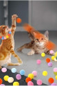 Top Atma Tabancası Peluş 20 Toplu Oyuncak Top Atma Tabancası Peluş 20 Toplu Oyuncak