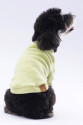 Yellow Merino Sweat XXarge 38X43X58 cm Yellow Merino Sweat XXarge 38X43X58 cm