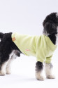Yellow Merino Sweat XXarge 38X43X58 cm Yellow Merino Sweat XXarge 38X43X58 cm