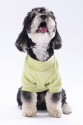 Yellow Merino Sweat XXarge 38X43X58 cm Yellow Merino Sweat XXarge 38X43X58 cm