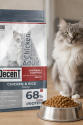 Decent Tavuklu Yetişkin Kedi Maması 1,5 Kg Control Tavuk & Pirinç Yetişkin Kedi Maması Decent Tavuklu Yetişkin Kedi Maması 1,5 Kg Control Tavuk & Pirinç Yetişkin Kedi Maması