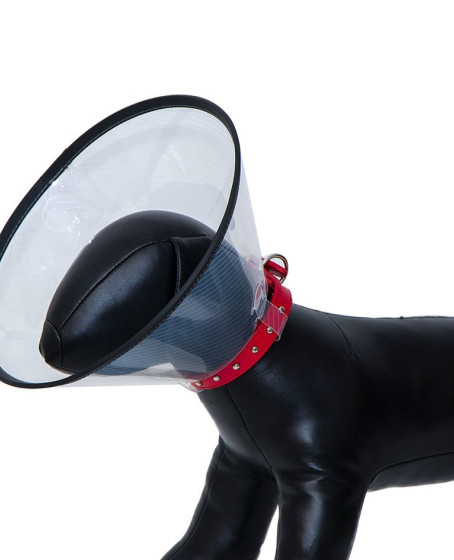 Kedi Köpek Yakalığı 15 CM