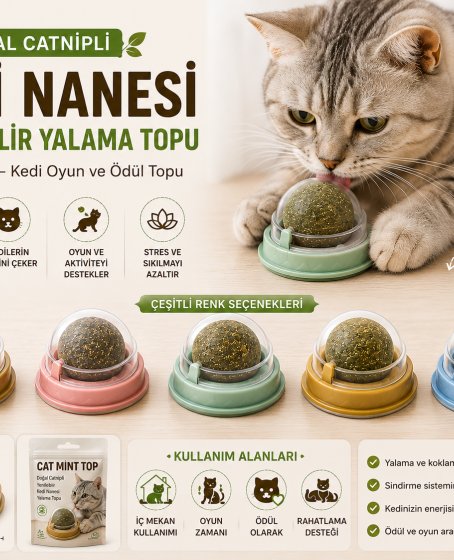 Doğal Catnipli Yenilebilir Kedi Nanesi Yalama Topu – 6 CM Doğal Catnipli Yenilebilir Kedi Nanesi Yalama Topu – 6 CM