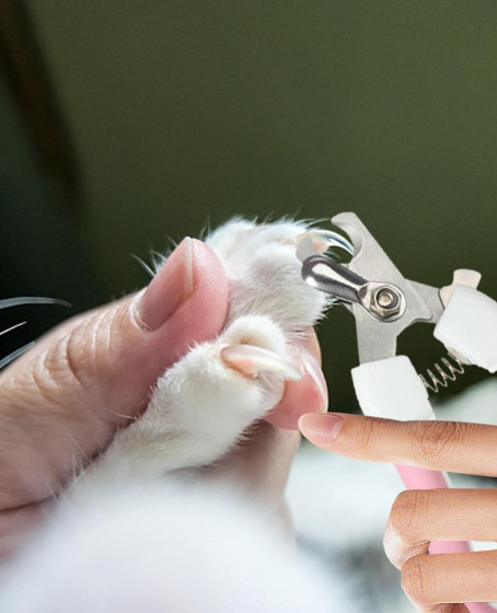 Törpülü Kedi Köpek Tırnak Makası 12,5 cm Törpülü Kedi Köpek Tırnak Makası 12,5 cm