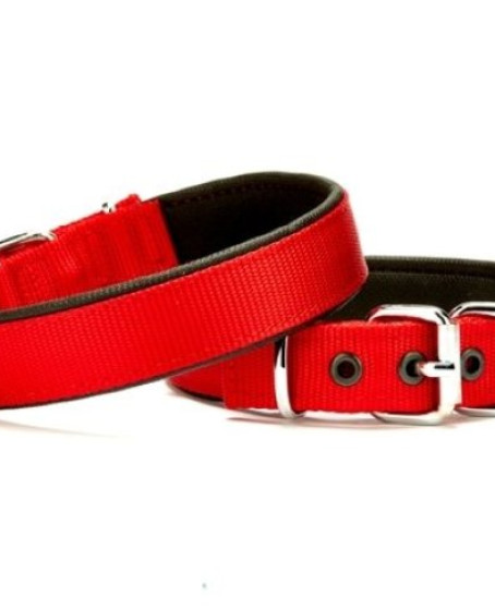 Softlu Köpek Boyun Tasması 2 cm x 40 cm Kırmızı Softlu Köpek Boyun Tasması 2 cm x 40 cm Kırmızı