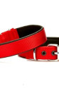 Softlu Köpek Boyun Tasması 2 cm x 40 cm Kırmızı Softlu Köpek Boyun Tasması 2 cm x 40 cm Kırmızı