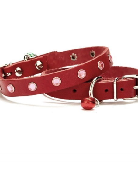Taşlı Kedi ve Yavru Köpek Tasması 1*23 cm Kırmızı Medium Taşlı Kedi ve Yavru Köpek Tasması 1*23 cm Kırmızı Medium