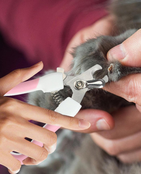 Törpülü Kedi Köpek Tırnak Makası 12,5 cm Törpülü Kedi Köpek Tırnak Makası 12,5 cm