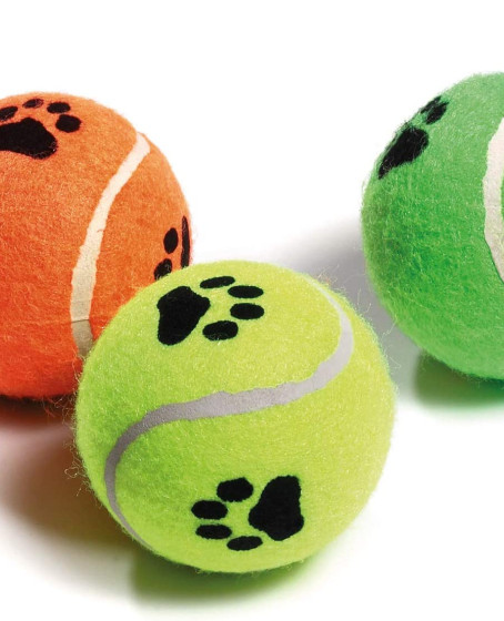 KP Köpek Oyuncak Tenis Topu Sert 3’lü 6 cm – Dayanıklı Köpek Topu KP Köpek Oyuncak Tenis Topu Sert 3’lü 6 cm – Dayanıklı Köpek Topu